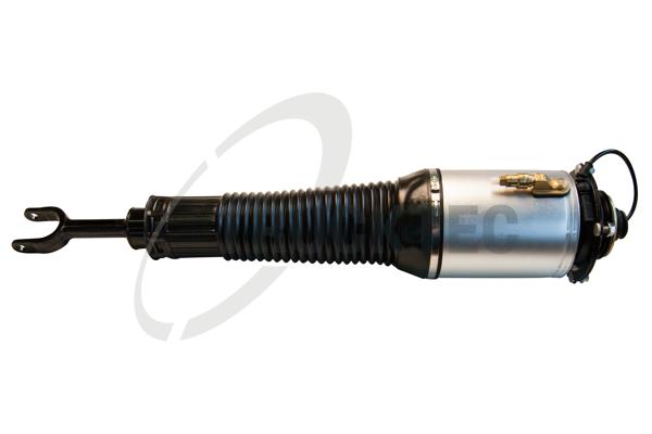 Gamba elastica con ammortiz. pneumatico - 07.30.049 TRUCKTEC AUTOMOTIVE