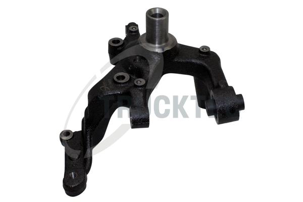 Fuso a snodo, Sospensione ruota - 07.31.294 TRUCKTEC AUTOMOTIVE