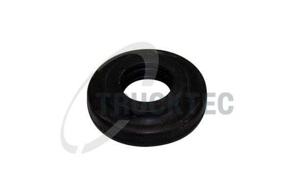 Guarnizione, Bulloni copritestata - 08.10.034 TRUCKTEC AUTOMOTIVE