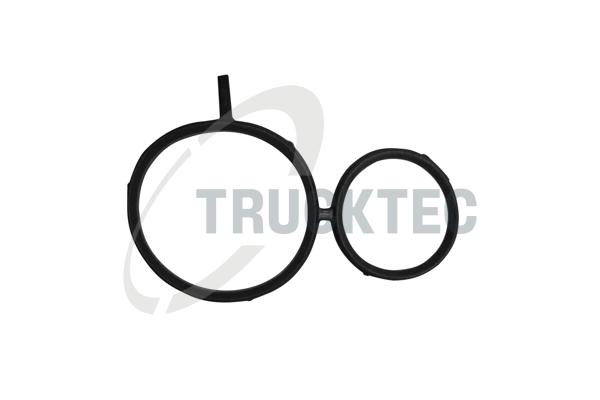 Gasket, timing case - 08.10.059 TRUCKTEC AUTOMOTIVE
