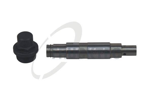 Tenditore, Catena distribuzione - 08.12.022 TRUCKTEC AUTOMOTIVE