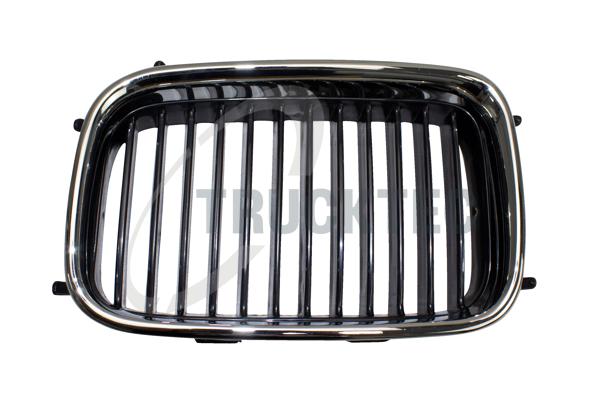 Radiator Grille - 08.62.222 TRUCKTEC AUTOMOTIVE