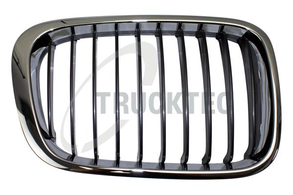 Radiator Grille - 08.62.258 TRUCKTEC AUTOMOTIVE
