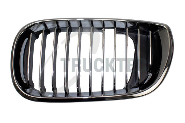 Radiator Grille - 08.62.298 TRUCKTEC AUTOMOTIVE