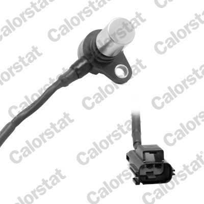 Generatore di impulsi, Albero a gomiti - CS0419 CALORSTAT by Vernet