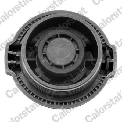 Sealing Cap, coolant tank - RC0002 CALORSTAT by Vernet