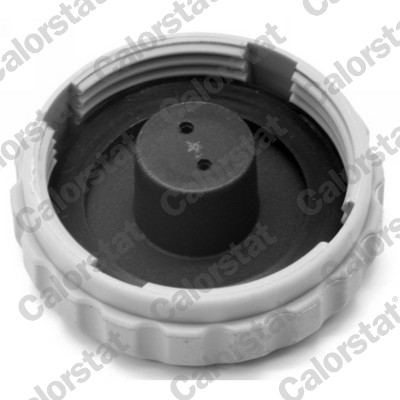 Expansion Tank, coolant - ET0080C1 CALORSTAT by Vernet