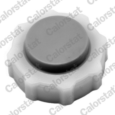 dangtelis, radiatorius - RC0018 CALORSTAT by Vernet