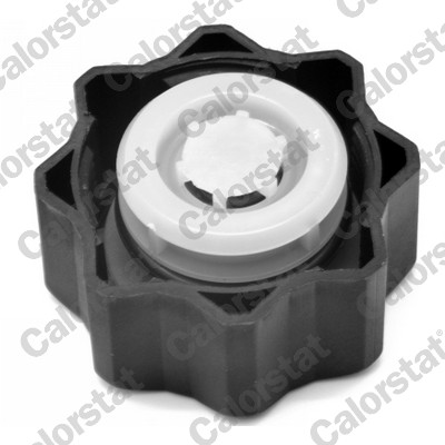 Expansion Tank, coolant - ET0090C1 CALORSTAT by Vernet