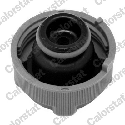 Sealing Cap, coolant tank - RC0023 CALORSTAT by Vernet
