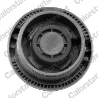 Sealing Cap, coolant tank - RC0028 CALORSTAT by Vernet