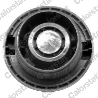 Sealing Cap, coolant tank - RC0034 CALORSTAT by Vernet