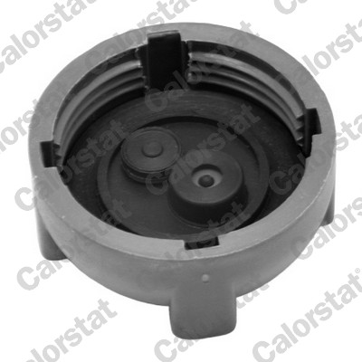 Expansion Tank, coolant - ET0071C1 CALORSTAT by Vernet