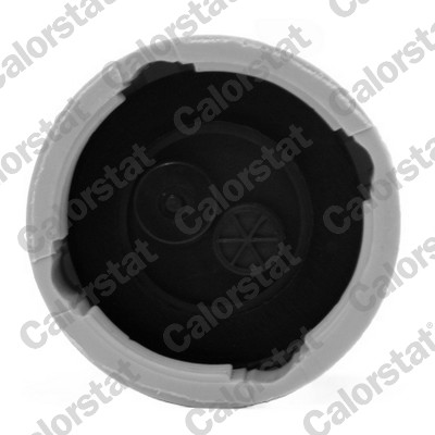 Expansion Tank, coolant - ET0131C1 CALORSTAT by Vernet