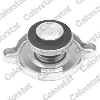 Sealing Cap, radiator - RC0049 CALORSTAT by Vernet