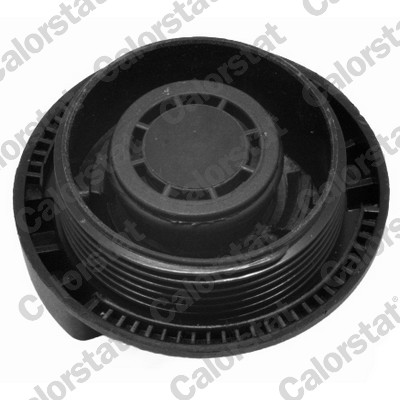 Sealing Cap, coolant tank - RC0082 CALORSTAT by Vernet