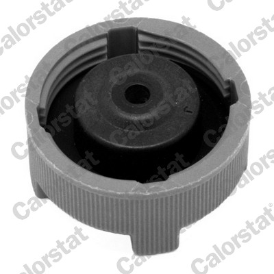Expansion Tank, coolant - ET0032C1 CALORSTAT by Vernet