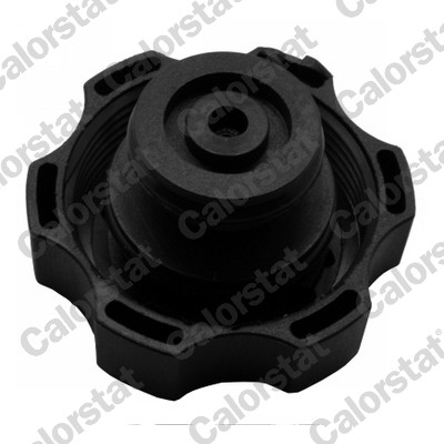 Sealing Cap, coolant tank - RC0144 CALORSTAT by Vernet