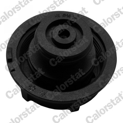 Sealing Cap, coolant tank - RC0150 CALORSTAT by Vernet
