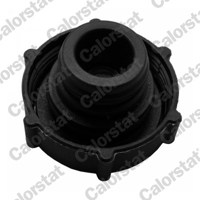 Sealing Cap, coolant tank - RC0154 CALORSTAT by Vernet