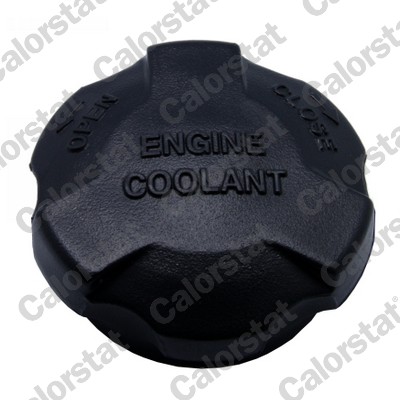 Sealing Cap, coolant tank - RC0161 CALORSTAT by Vernet