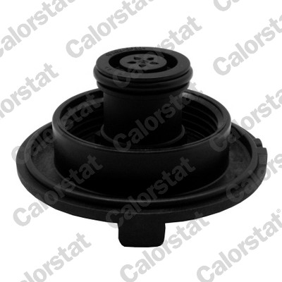 Expansion Tank, coolant - ET0028C1 CALORSTAT by Vernet