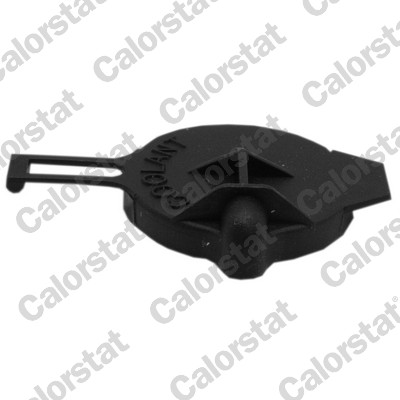 Sealing Cap, coolant tank - RC0170 CALORSTAT by Vernet