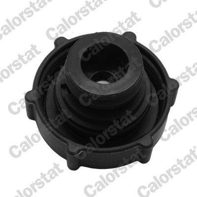 Sealing Cap, coolant tank - RC0194 CALORSTAT by Vernet