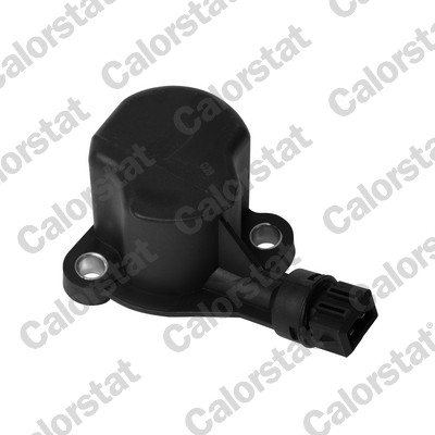 Switch, reverse light - RS5558 CALORSTAT by Vernet