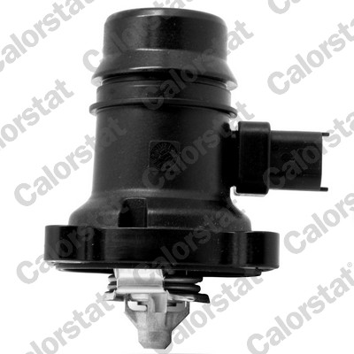 Thermostat, coolant - TE7246.80J CALORSTAT by Vernet
