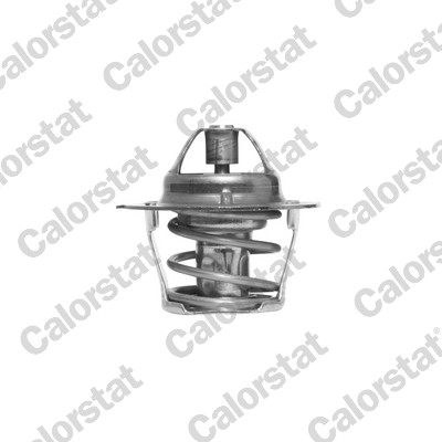 Thermostat, Kühlmittel - TH1248.80J CALORSTAT by Vernet