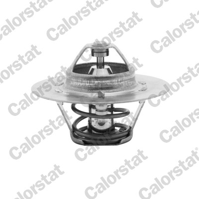 Thermostat, coolant - TH4608.80J CALORSTAT by Vernet