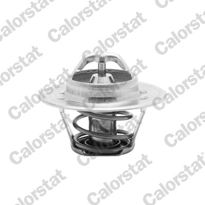 Thermostat, coolant - TH5504.88J CALORSTAT by Vernet