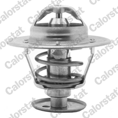 Thermostat, coolant - TH5981.89J CALORSTAT by Vernet