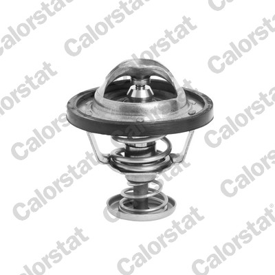 Thermostat, coolant - TH6295.88J CALORSTAT by Vernet