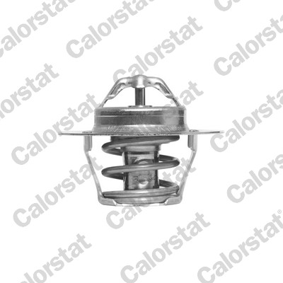 Thermostat, coolant - TH6318.89J CALORSTAT by Vernet