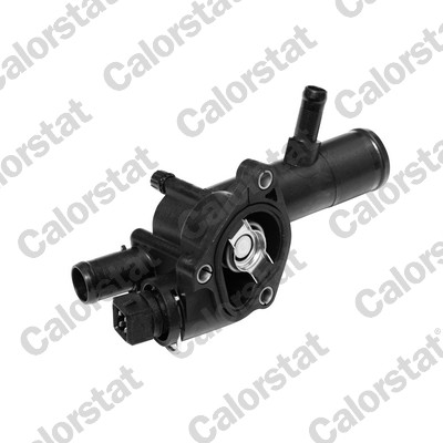 Thermostat, coolant - TH6666.89J CALORSTAT by Vernet