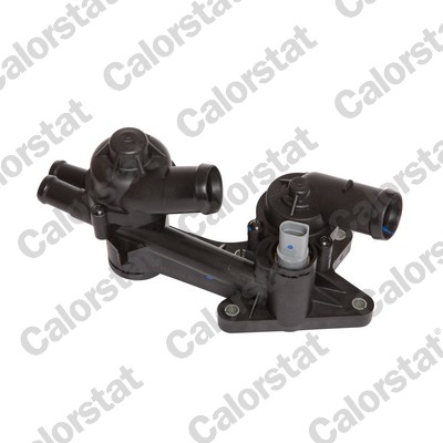 Thermostat, coolant - TH7169.80J CALORSTAT by Vernet