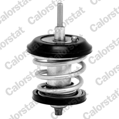 Thermostat, coolant - TH7188.95J CALORSTAT by Vernet