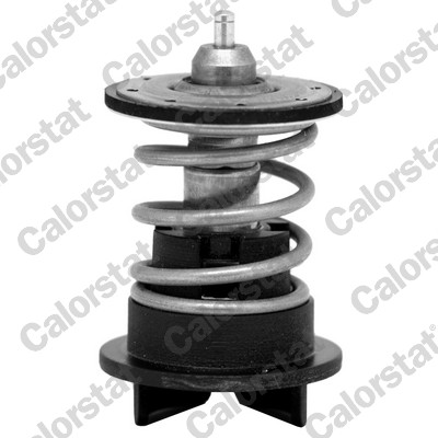 Thermostat, coolant - TH7272.89 CALORSTAT by Vernet