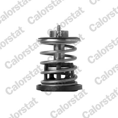 Thermostat, coolant - TH7382.88 CALORSTAT by Vernet