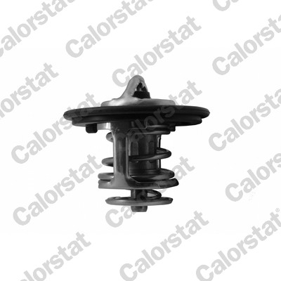 Thermostat, coolant - TH7413.82J CALORSTAT by Vernet