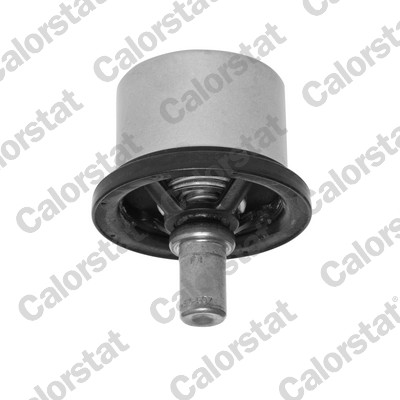 Thermostat, coolant - THS19054.86 CALORSTAT by Vernet