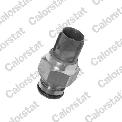 Temperature Switch, radiator fan - TS2873 CALORSTAT by Vernet