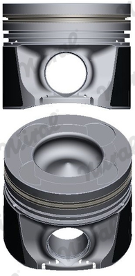 Piston - 87-436100-30 NÜRAL