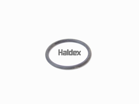 Sensor, wheel speed - 950364503 HALDEX