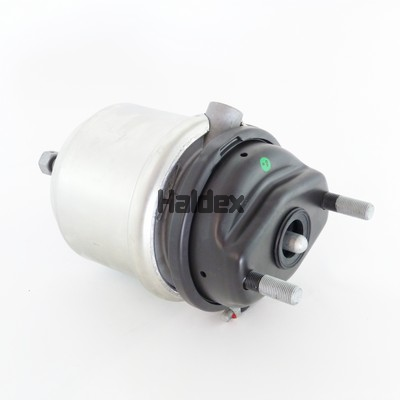 Cilindro accumulazioneenergia a molla - 342161601 HALDEX