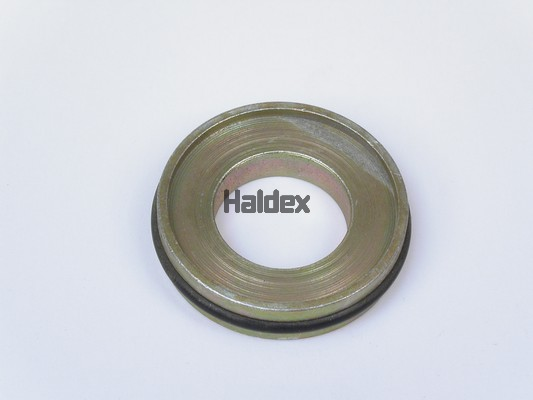 poveržlė - 76014 HALDEX