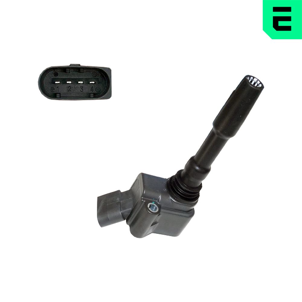 ritė, uždegimas - 880345A ERA