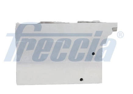 Testata - CH17-1016 FRECCIA